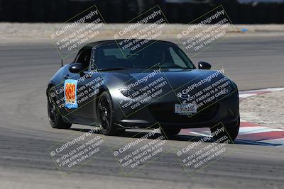 media/Apr-20-2025-Speed Ventures (Sun) [[fbebd6eb25]]/Green/Session 2 (Turn 11)/